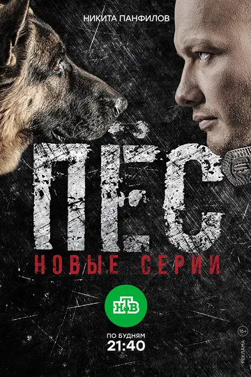 Пёс
